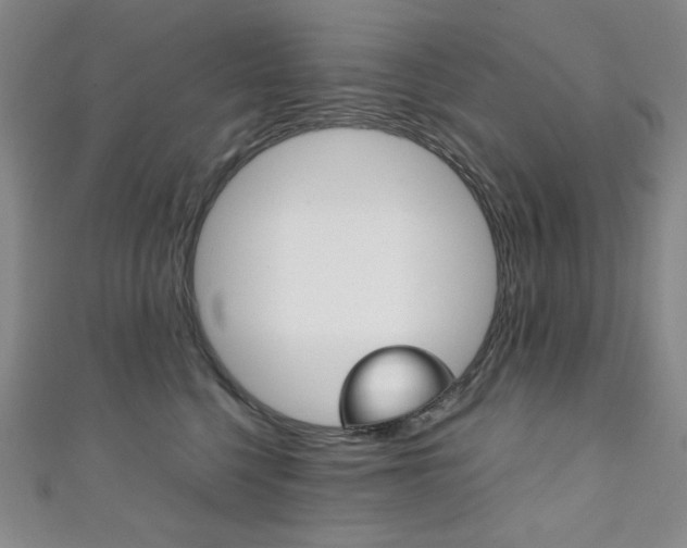 X0000111150568200906301040