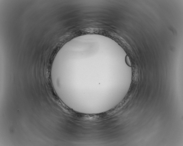 X0000111150569200906301040