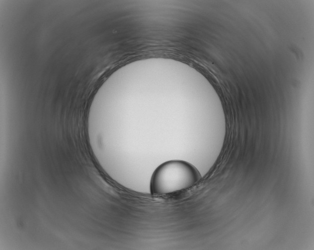 X0000111150572200906301040