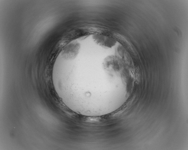 X0000111150573200906301040