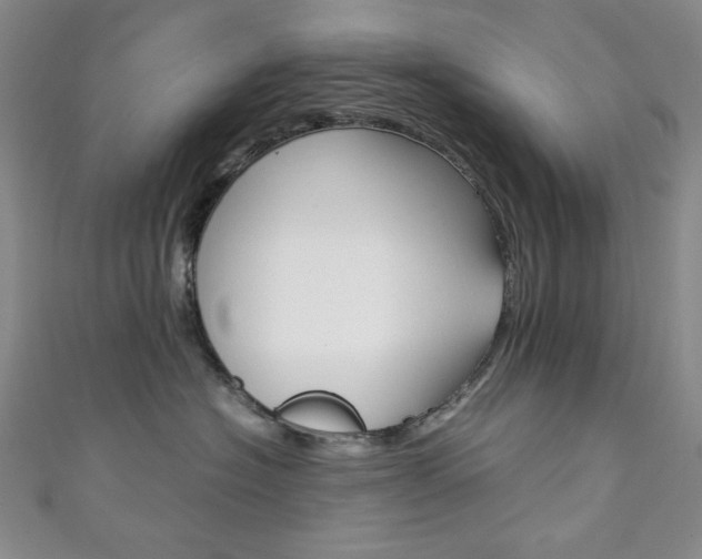 X0000111150574200906301040