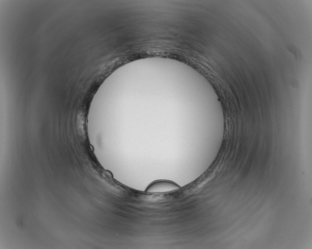 X0000111150575200906301040