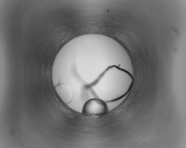 X0000111150576200906301040