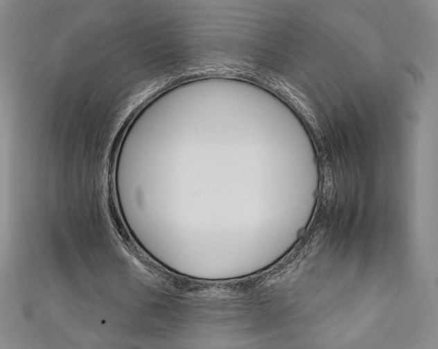 X0000111150578200906301039