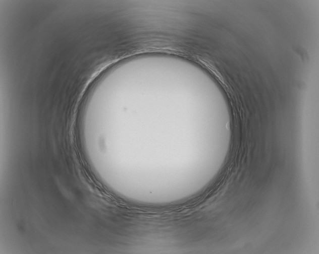 X0000111150579200906301039