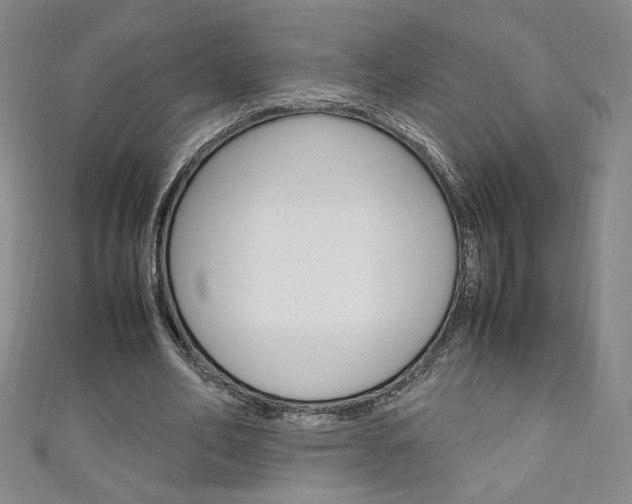 X0000111150582200906301039