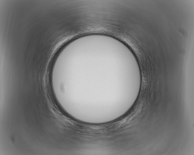 X0000111150583200906301039
