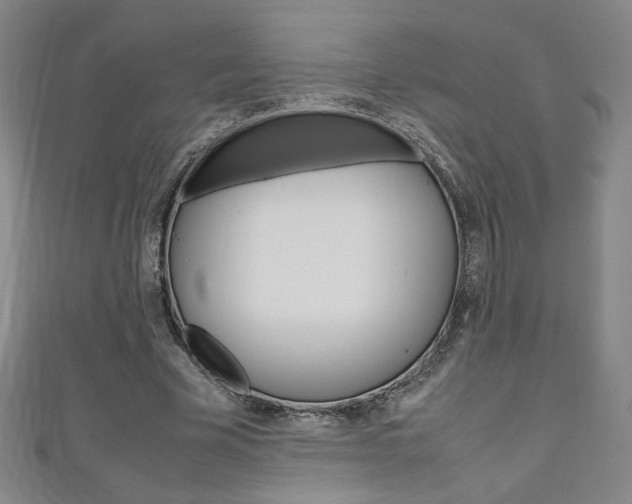 X0000111150585200906301039