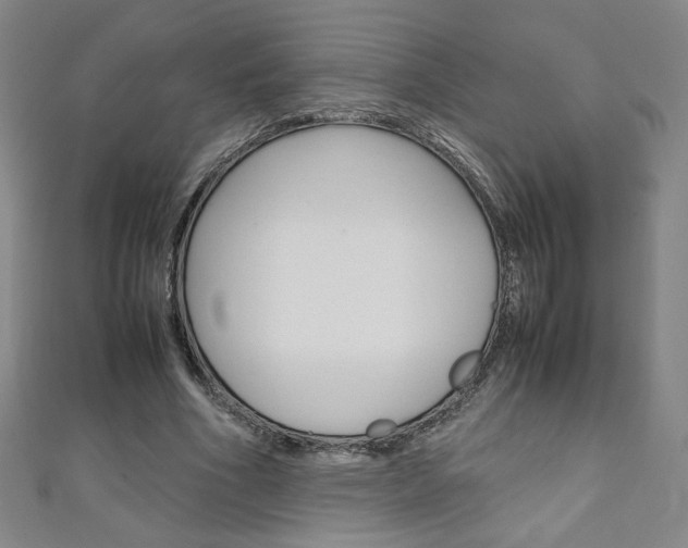 X0000111150586200906301039