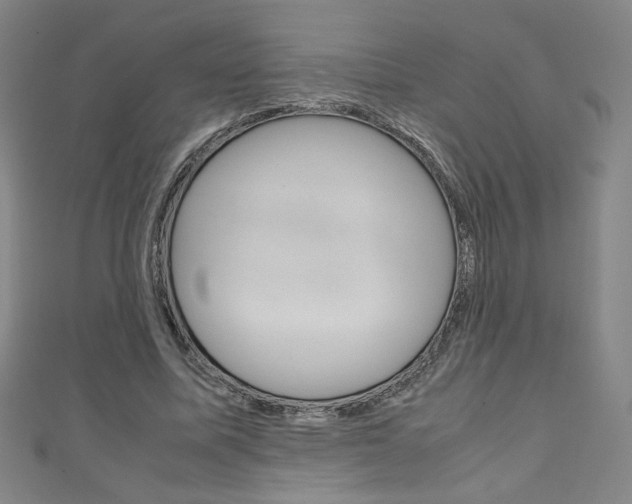X0000111150587200906301039