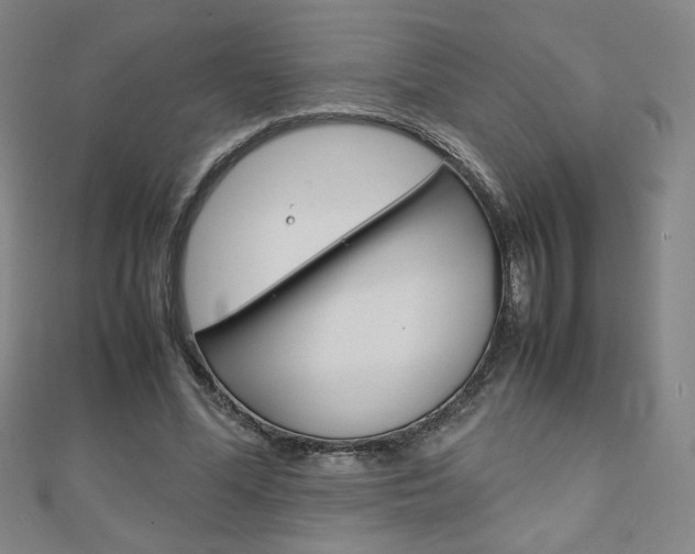 X0000111150588200906301039