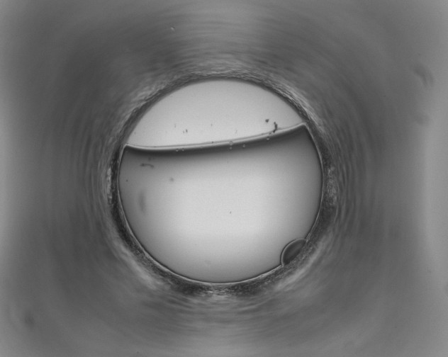 X0000111150589200906301039
