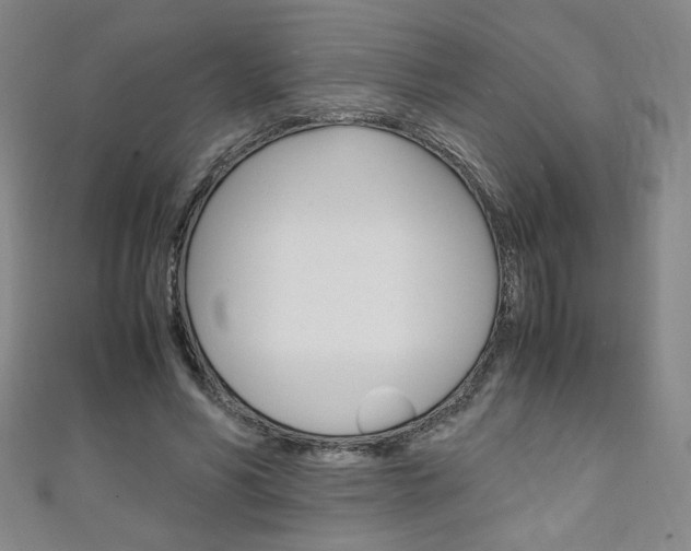 X0000111150590200906301039