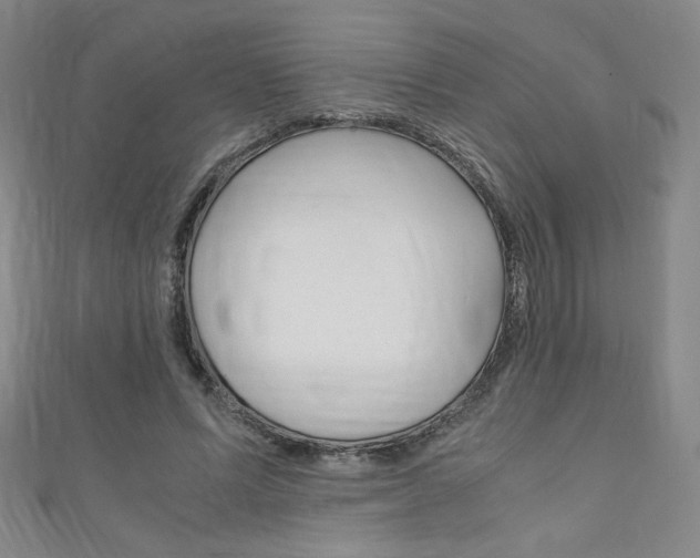 X0000111150591200906301039