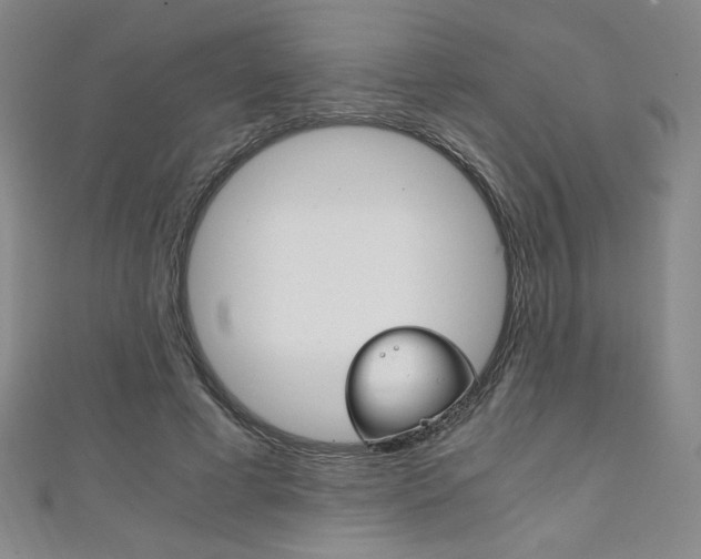 X0000111150593200906301039