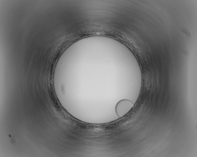X0000111150594200906301039