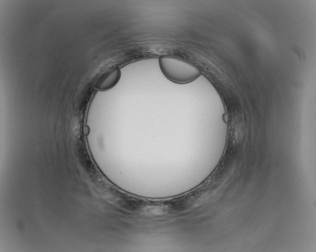 X0000111150595200906301039