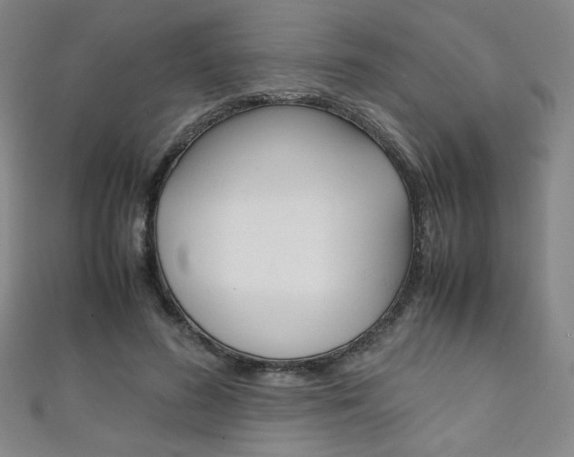 X0000111150596200906301039