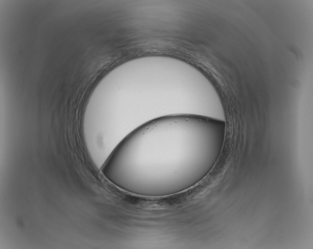 X0000111150597200906301039
