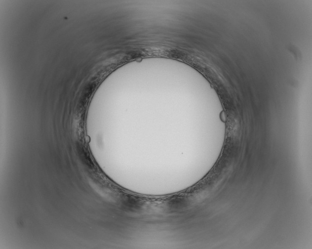 X0000111150599200906301039