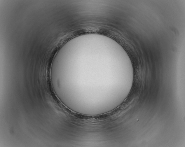 X0000111150600200906301039