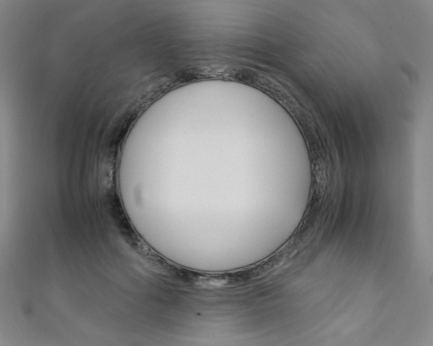 X0000111150602200906301039
