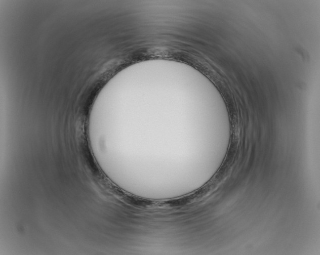 X0000111150603200906301039