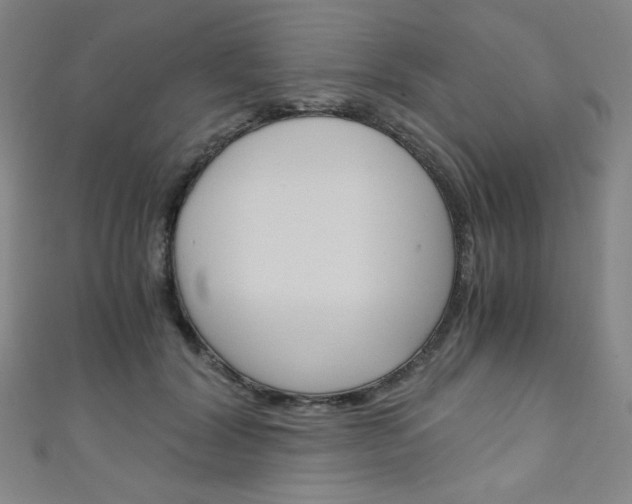 X0000111150604200906301039