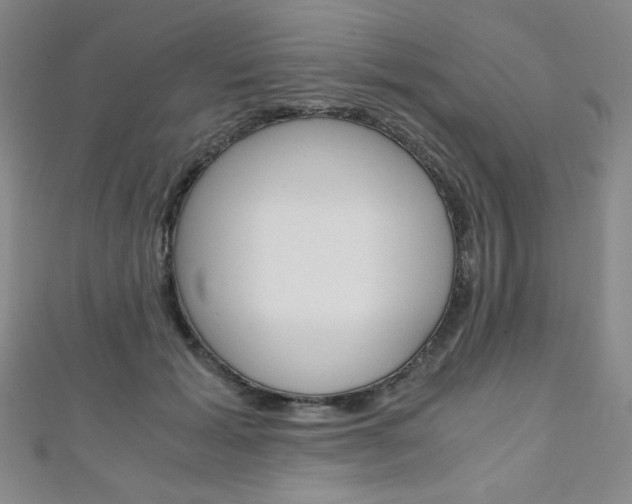 X0000111150605200906301039