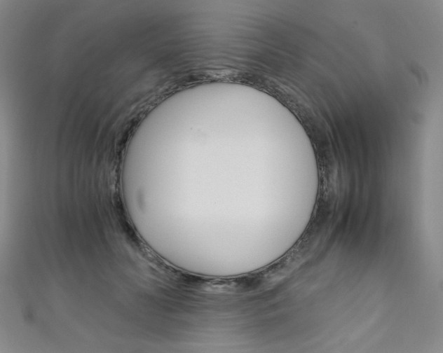 X0000111150606200906301039