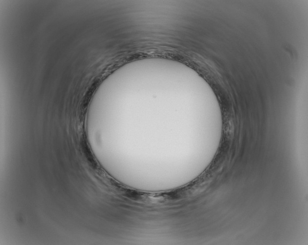 X0000111150607200906301039