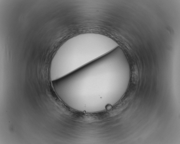 X0000111150608200906301039