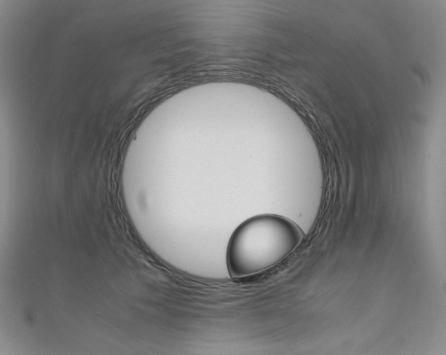 X0000111150609200906301039