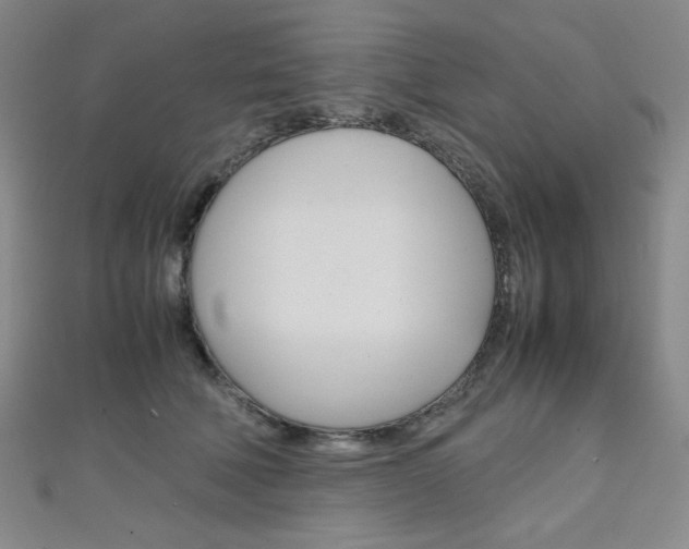 X0000111150610200906301039