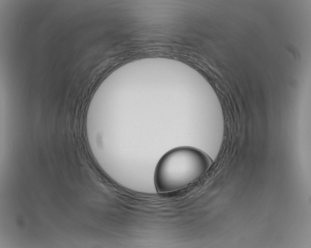 X0000111150611200906301039