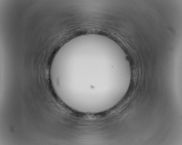X0000111150613200906301039