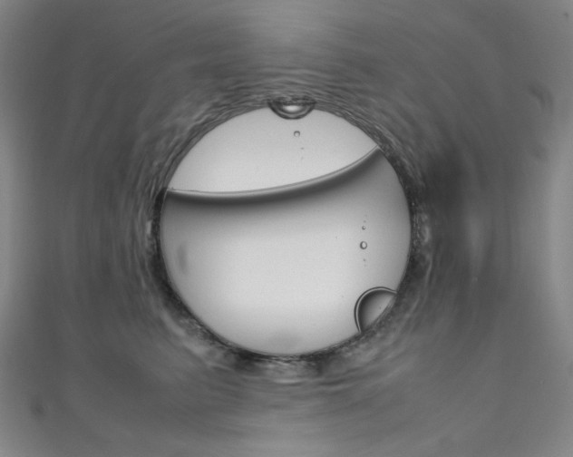 X0000111150615200906301039