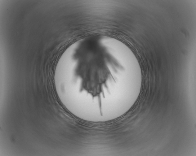 X0000111150617200906301039