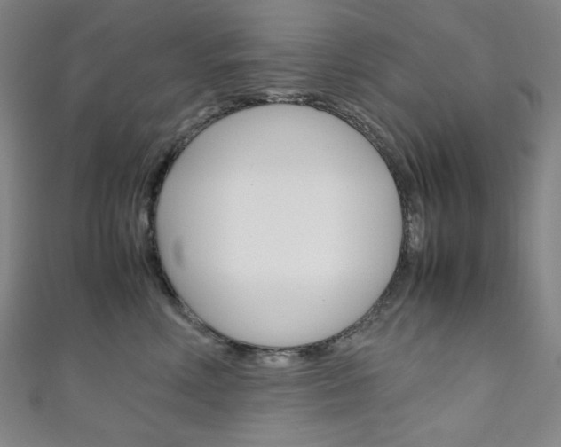 X0000111150618200906301039