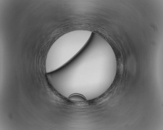X0000111150619200906301039