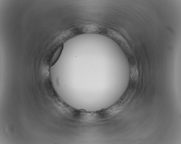 X0000111150621200906301038