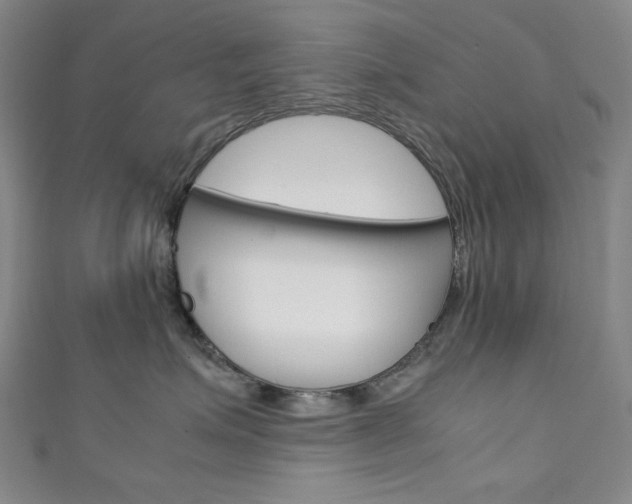 X0000111150623200906301038