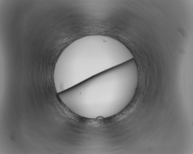 X0000111150624200906301038