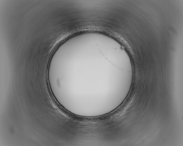 X0000111150625200906301038