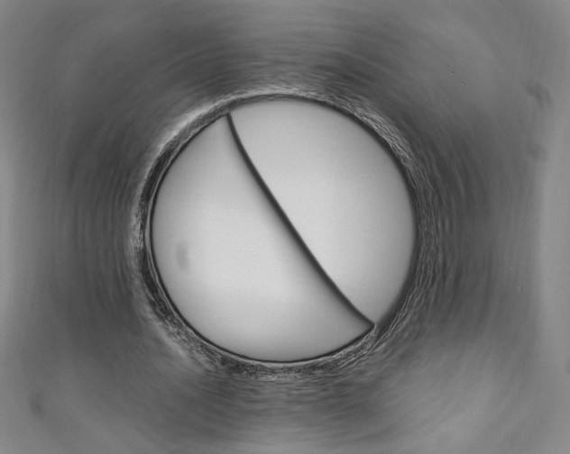 X0000111150628200906301038