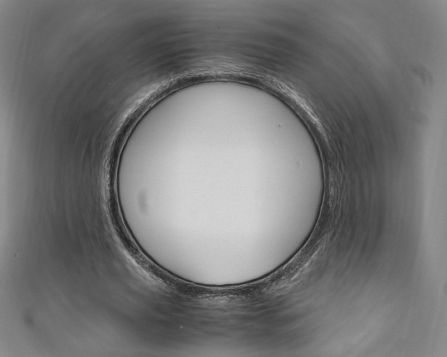 X0000111150629200906301038