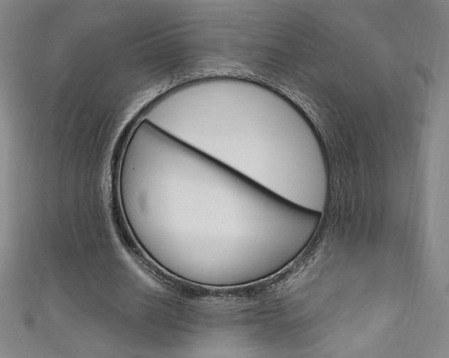 X0000111150630200906301038