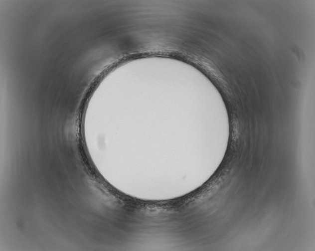 X0000111150632200906301038