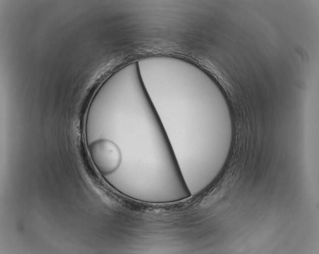 X0000111150634200906301038