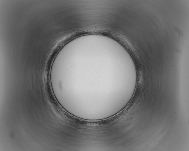 X0000111150636200906301038